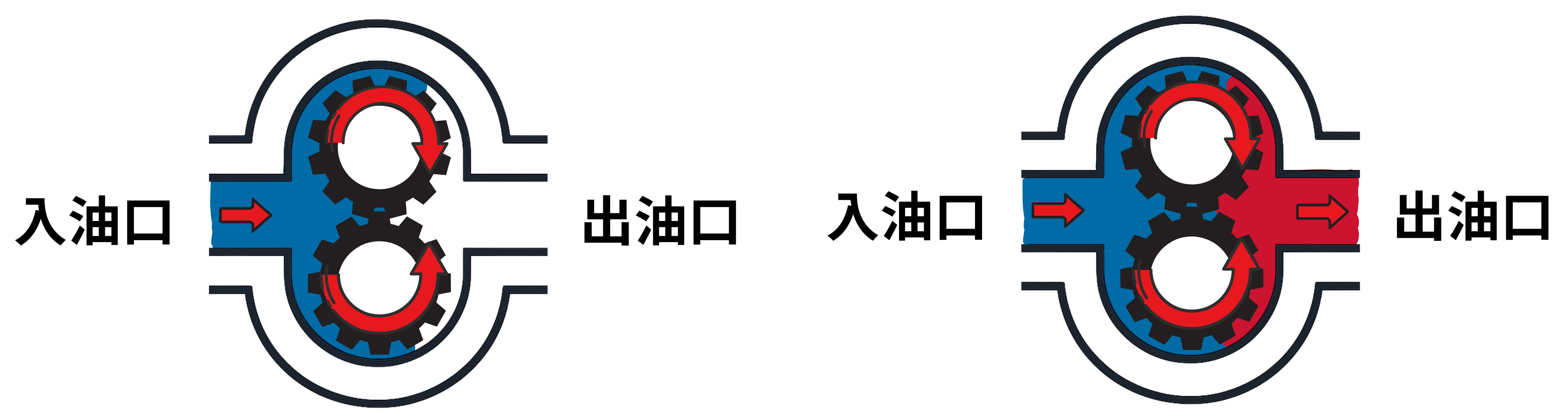 CML外啮合齿轮泵运转示意图